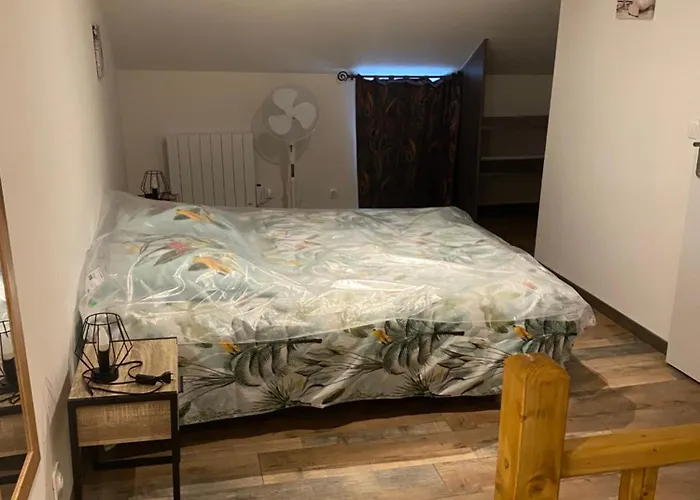 3 T1 Meublé 86320 Appartamento Lussac-les-Châteaux