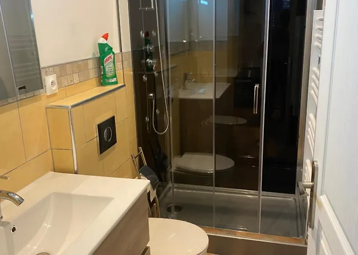 3 T1 Meublé 86320 Appartamento